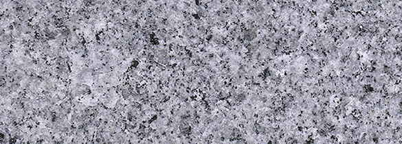 芝麻黑新聞動態 芝麻黑新聞動態